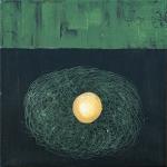 nest__20x40